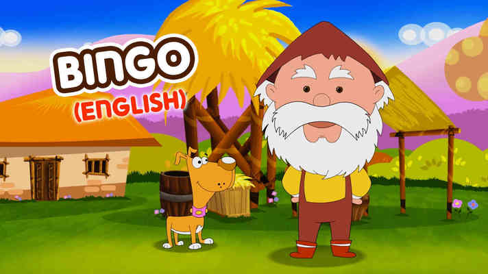 Bingo - Modern Reggae Style