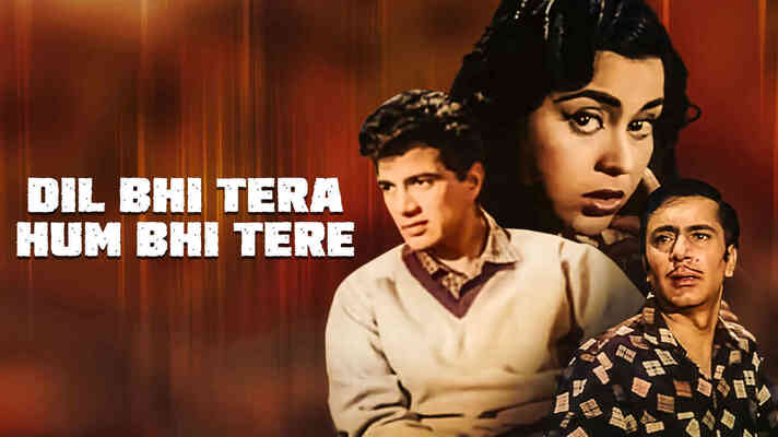 Dil Bhi Tera Hum Bhi Tere