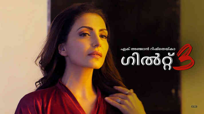 Ek Anjaan Rishtey Ka Guilt 3 - Malayalam