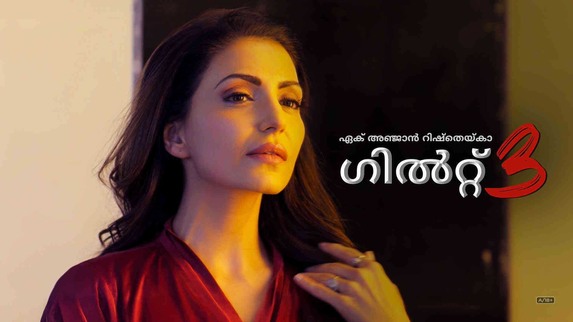 Ek Anjaan Rishtey Ka Guilt 3 - Malayalam