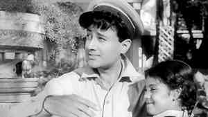 Gori Zara Hans De Tu 