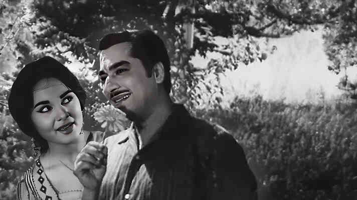 Itna To Keh Do Humse Tumse Hi Pyar Hai